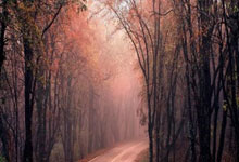 [NBA]不敌骑士 四旬老詹拿下23分.