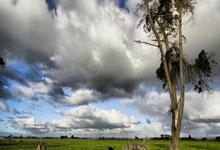 [棋牌]韩国棋院就LG杯事件致歉 将与中日制定统一大赛规则.