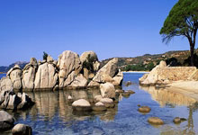 [中超]奥斯卡角球助攻 古斯塔沃头球破门.